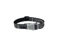 (40-65 cm) Trixie USB Explore Dog Collar