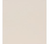 40 A4 Sheets of Ivory Smooth Card 250gsm Excellent for Cards, Scrapbook,Wedding Stationery