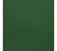 40 A5 Sheets of Card 250-260gsm Excellent for Cards, Scrapbook,Wedding Stationery (Christmas Green)