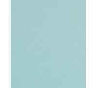 40 A5 Sheets of Card 250-260gsm Excellent for Cards, Scrapbook,Wedding Stationery (Pale Turquoise)