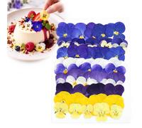 40 Edible Pansy and Viola Flowers, Food-Grade Cake & Drink Decorations | Add colourful floral detail to cakes, cupcakes, desserts and drinks for celebrations and styled table presentation.