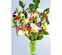 40 Fresh Aromatic Guernsey Freesias Flowers Bouquet, Flowers by Post, Perfect for Birthdays Anniversaries Mother’s day Thank you Gifts