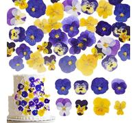 40 Pcs, 8 Types Natural Edible Dried Pressed Flowers for Cake Decor, Cocktails & Resin Art - Real Flowers for Drinks, Crafts & Baking