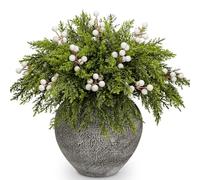 40 Pcs Artificial Pine Branches with Berry Stems - 11 Inch Real Touch Norfolk Stem Faux Christmas Foliage Greenery Twigs Evergreen Sprigs for Vase DIY Crafts Garland Wreath Xmas Home Decor (White)