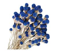 40 Pcs Blue Dried Thistle Flowers, Natural Floral Bouquet 44cm | Lasting beauty real dried flowers with rich texture for floral arrangements, boho décor, centerpieces, vases and weddings