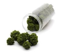 40 Pcs Miniature Bush Trees - Realistic Vegetation Groups for Model Train Scenery, for Railway Layouts, War Gaming Terrain, and Sand Table Military Models