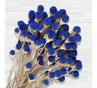 40 Pcs Natural Blue Dried Thistle Flowers Bouquet, Bulk Dried Craspedia Billy Balls Button Plant, 17'' DIY Floral Arrangements for Home Boho Kitchen Table Wedding Vase Decor