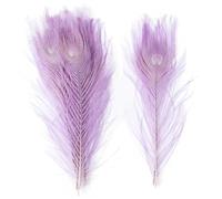 40 Pcs Natural Peacock Feathers 10-12 Inch for Wedding DIY Decor | Vibrant 25-30 cm peacock plumes, perfect for crafts, party & home decoration.(Light Purple)