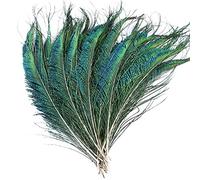 40 Pcs Peacock Sword Feathers Natural Peacock Feathers Peacock Green Tail Feathers for DIY Craft, Costume, Wedding Holiday Party