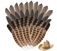 40 Pieces Natural Pheasant Feathers, 5.9-7.87 Inches Feathers for Crafting, Natural Speckled Feathers, 3 Styles Mixed Bulk Feathers for Dreamcatchers, Rave Costumes, Feather Masks