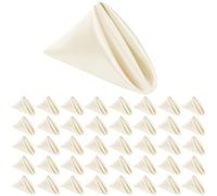 40 Pieces Square Satin Dinner Ivory Napkins 20 x 20 Inches Soft Smooth Fabric Table Napkins Washable Napkins for Weddings Parties Holiday Dinner Thanksgiving Christmas (Ivory)