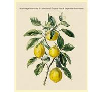 40 Vintage Botanicals: A Collection of Tropical Fruit & Vegetable Illustrations
