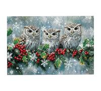 4000 Piece Jigsaw Puzzles for Adults, Owl Jigsaw Puzzles for Adults 4000 Piece, Snow Puzzle Challenging Game for the Whole Families, Classic Wooden Jigsaws Suitable for Home Decoration, Gifts -2519