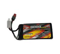4000mAh 3S 40C T-Plug Lithium Battery for Capo U4 Pipe Frame X Queen Off-Road Climibing Car Model