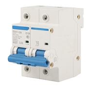 400V 80A 100A 125A Leakage Protection Switch DZ47 125 2P Current Miniature Circuit Breaker with Overload Short Circuit Protection for Home Industrial Electrical Safety (C125A)