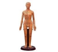 40CM/52CM Chinese Medicine Man/Woman Meridians Model Human Body Acupuncture Model Teaching Medical Education Appliances(Gold Woman 40CM)