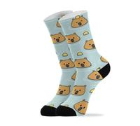 40Cm Ladies Socks Unisex Socks Antibacterial Walking Sock Cute Capybara For Hiking Walking Gym