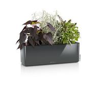 40Cm Window Box, Charcoal Grey Plastic Self-Watering Rectangular Planter, Indoor Plant Pot Lechuza Cube Triple H14 L40 W14 Cm