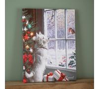 40cm x 30cm Battery Operated Light up Fibre Optic Christmas Dog & Robin Wall Art Samuel Alexander Multi One Size