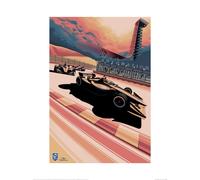 (40cm x 30cm, Pink/Grey/White) Zoom Indycar Challenge 2020 Formula 1 Poster