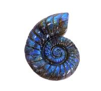 40mm Natural Labradorite Stone&Quartz Crystal Hand Carved Animal Figurine-Owl Fox Devil S Eye Butterfly Collectible Gift Home Decor,Stone Snail