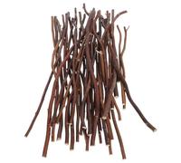 40pcs Branch Wooden Twigs for Craft DIY Twisted Sticks Natural Twigs Photo Prop Wood Crafts Sticks Crafts Making Sticks twig Background Willow Twigs for Crafting Tea Tree Birch