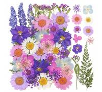 40PCS Purple Dried Pressed Flowers for Resin Molds Natural Dried Flowers for Crafts Stickers DIY Art Floral Decorations Nail Art Scrapbooking Candle Making Home Décor Soap Making Phone Case
