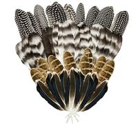 40Pcs Turkey Feathers for Crafting, Natural Pheasant Feathers Hat Feathers, 4 Style Mixed Craft Feathers Spotted Feathers for Floral Arrangements DIY Wedding Party Wedding Decorations, Craft Supplies