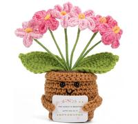 40th Birthday Gifts for Women Men, Handmade Emotional Support Forget Me Not with Pun Card, Adorable Home Decor Gifts for 40 Years Old Mum Dad Uncle Auntie Sister Brother Teacher Friend Colleague