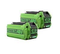 40V Batteries 6Ah Li-ion Battery Manufacturer Replacement Battery For Lawn Mower Power Tools Compatible With GreenWorks G-MAX(2pcs)