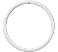 40W T9 Circular Fluorescent Tube 6500K Daylight White 3200 Lumens 865 Light Bulb
