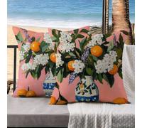 40x40 cm Cushion Covers Plant Outdoor Cushions Fruit Pillow Cases 2 Pack, Garden Cushions Waterproof Velvet Decorative Pillows Sofa Pillows Cushion Cover Pillowcase, Home Decor, Garden Decor k-882