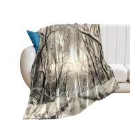 40x50in Flannel Fleece Plush Throw Blankets New York City Building Cityscape Natural Landscape Throws Super Soft Fuzzy Cozy Microfiber Warm Air Conditioning Blanket for Bed Chair Car Couch Sofa