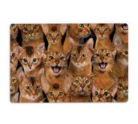 40X60Cm Door Mat A Bunch Of Abyssinian Cats Cat Pattern Welcome Mat Mud Resistant Outdoor Mat Absorbent Door Matt Indoor For Hall Entry Indoor