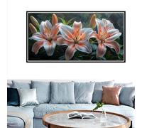 40x80cm Large Paint by Number for Adults Mandala Paint by Numbers Flower Painting by Numbers Adult Craft Kits, Hobbies for Women DIY Oil Paintings, Home Wall Bedroom Decor, 15.7x31.5inch with Frame