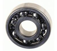 LuK 410 0090 10 Pilot Bearing, clutch