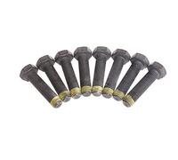 LuK DMF BOLT FITTING KIT - 411002610