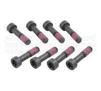 411 0112 10 Flywheel Bolt Kit Set 8 Pieces Fixing Mounting Transmission By LuK