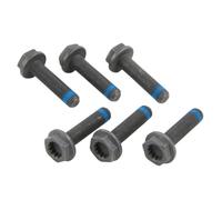 LuK 411011810 Flywheel Bolt Kit