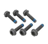 LuK Flywheel Bolt Kit 411011810 - Set of 6 for Audi & VW (DMF)