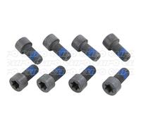 LuK DMF BOLT FITTING KIT - 411012110