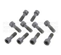 LUK Screw Set - Flywheel - Part No - 411012510