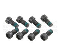 LuK 411013311 Flywheel Screw Set Fits Audi Seat Skoda VW