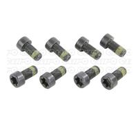 LuK Flywheel Bolt Set 411 0148 10 / 6689900012 - DMF for MERCEDES C180 1.6/1.8 (2002)