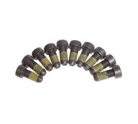 LuK DMF BOLT FITTING KIT - 411016110