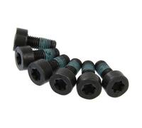 LuK DMF BOLT FITTING KIT - 411016610