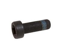 LuK 411 0178 10 Screw Set, flywheel