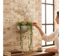 42cm Cream Metal Wall Planter Antique Bird Leaf Hanging Garden Basket Decor UK