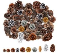 42Pcs Natural Pine Cones for Decoration, 2cm to 9cm Diameter Real Pine Cones for Crafts, Bulk PinesCones for Winter Rustic Christmas Decor (10 Design)