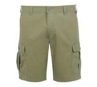 Regatta Mens Ruwan Casual Shorts RG10931